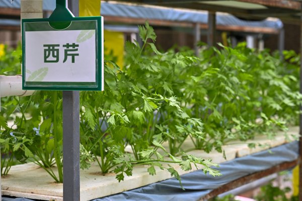 炒股配资中心 中奖名单来啦！快看看有没有你
