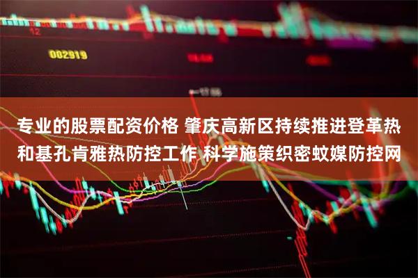 专业的股票配资价格 肇庆高新区持续推进登革热和基孔肯雅热防控工作 科学施策织密蚊媒防控网